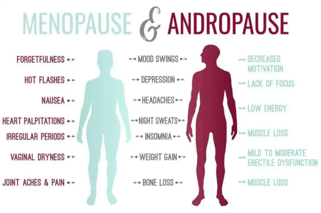 A chart showing the effects of menopause and andropause, namely: forgetfulness, hot flasshes, nausea, heart palpitations, irregular periods, vaginal dryness, joint aches and pain, mood swings, depression, headaches, night sweats, insomnia, weight gain, bone loss, decreased motivation, lack of focus, low energy, muscle loss, and mild to moderate erectile dysfunction